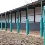 Padded Poles Horse Arena